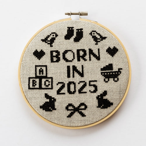 Born In 2025 Cross Stitch Kit