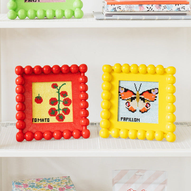 Beginner Needlepoint Kit - Tomato