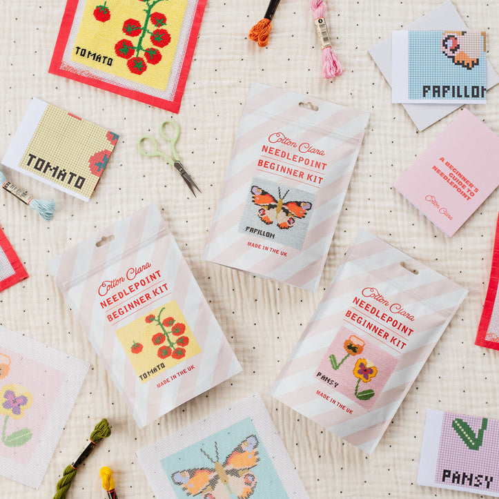 Beginner Needlepoint Kit - Tomato