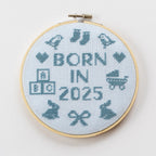 Born In 2025 Cross Stitch Kit PDF Pattern Only