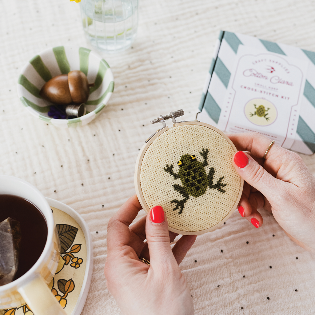 Frog Cross Stitch Kit