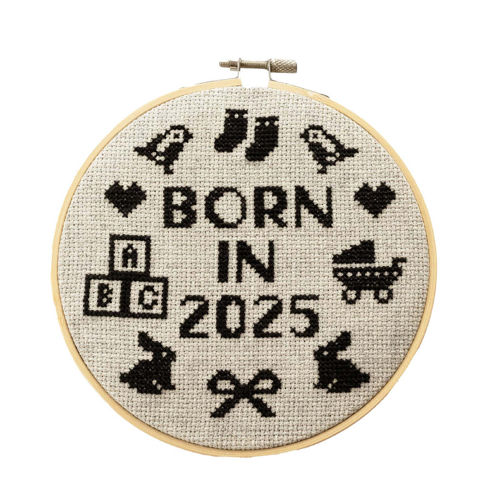 Born In 2025 Cross Stitch Kit