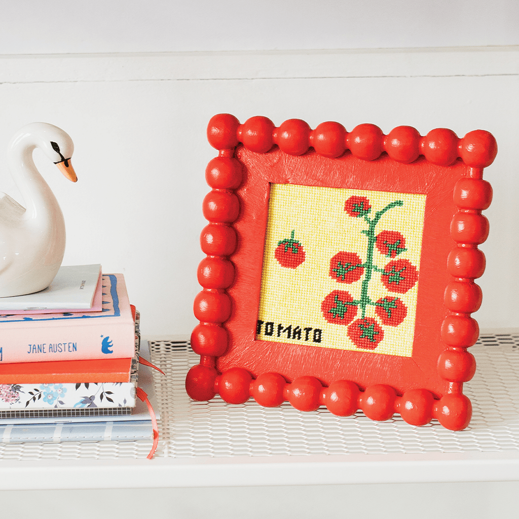 Cotton Clara Beginner Needlepoint Kit - Tomato