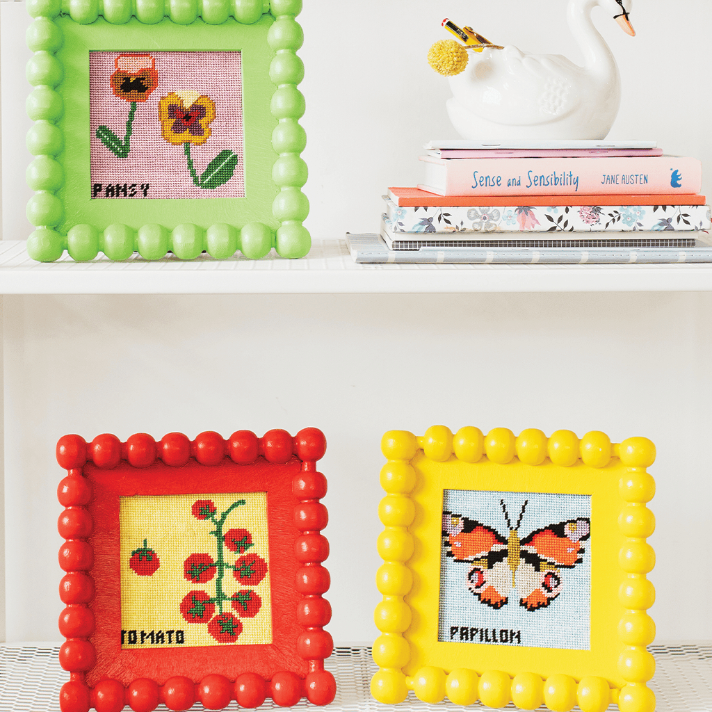 Cotton Clara Beginner Needlepoint Kit - Tomato