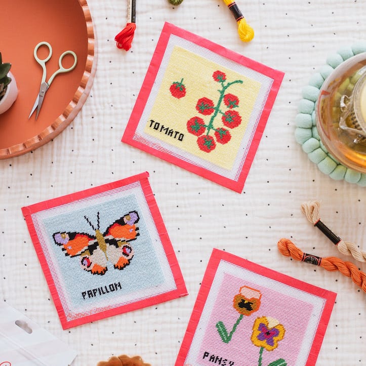 Cotton Clara Beginner Needlepoint Kit - Tomato