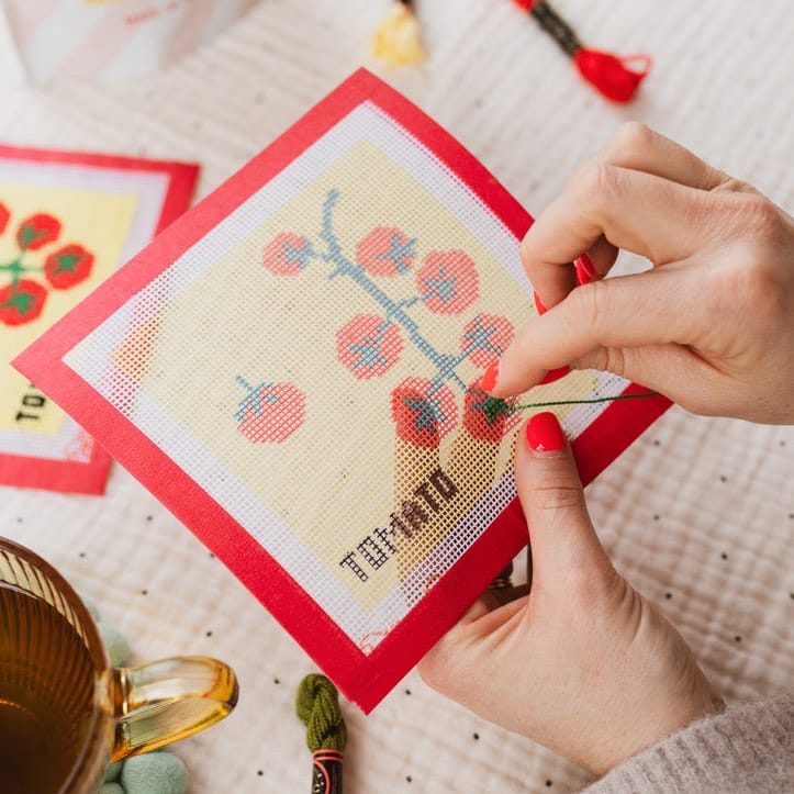 Cotton Clara Beginner Needlepoint Kit - Tomato