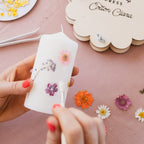Cotton Clara Beginners Flower Press Kit