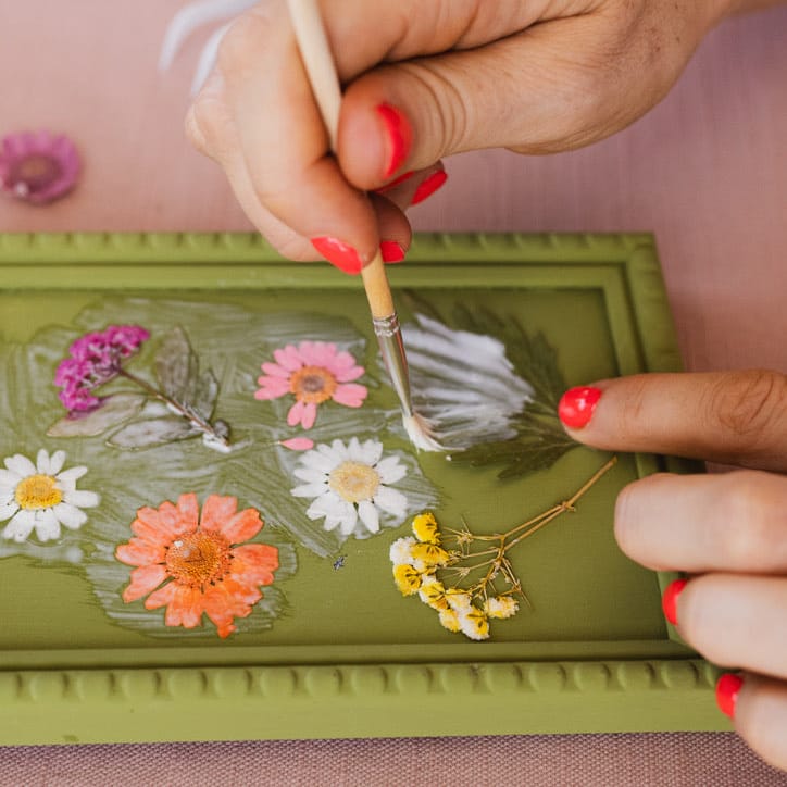 Cotton Clara Beginners Flower Press Kit