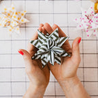 Cotton Clara German Froebel Paper Stars Kit