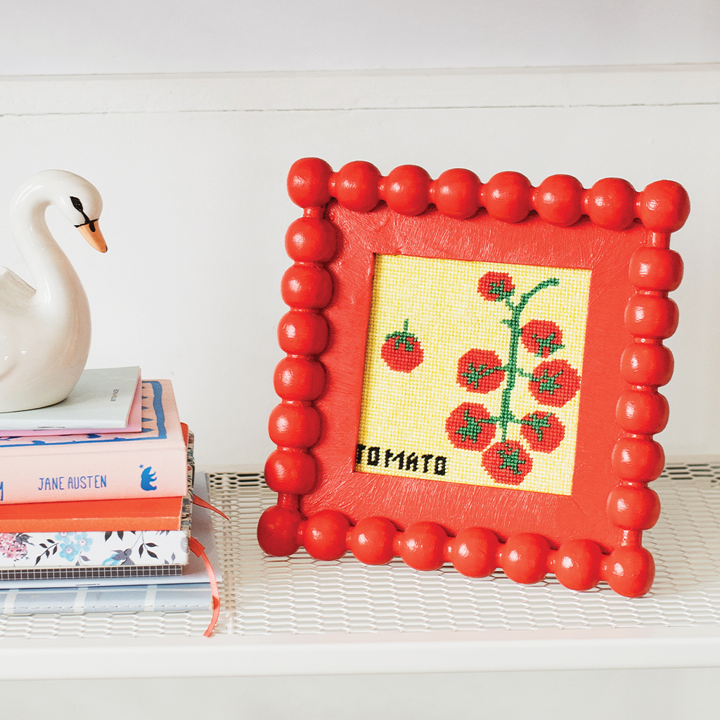 Beginner Needlepoint Kit - Tomato