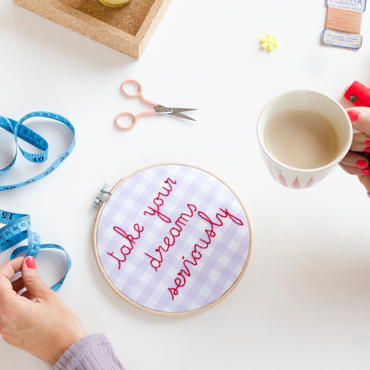 Take Your Dreams Seriously Gingham Embroidery Hoop Kit