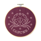 Cancer Embroidery Hoop Kit